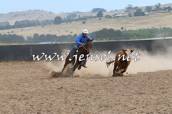 BraidwoodCampdraft2014_1588