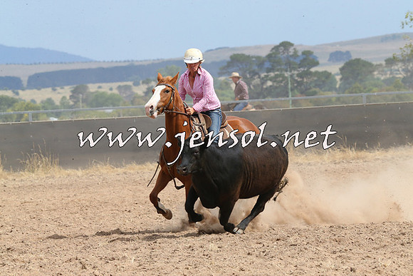 BraidwoodCampdraft2014_1508