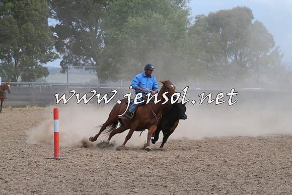 BraidwoodCampdraft2014_1560