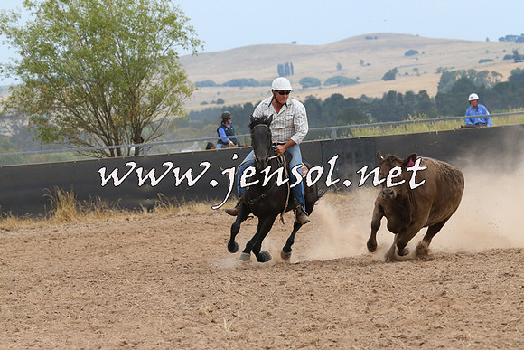BraidwoodCampdraft2014_1481