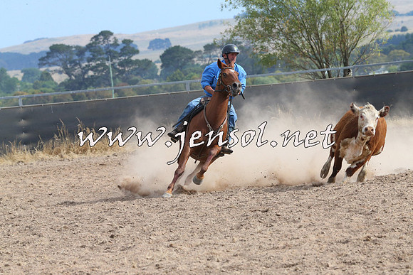 BraidwoodCampdraft2014_1636