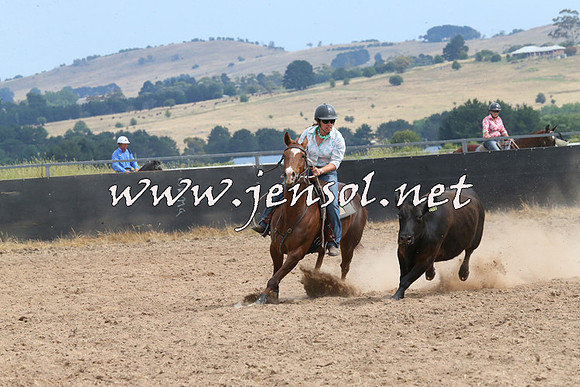 BraidwoodCampdraft2014_1494
