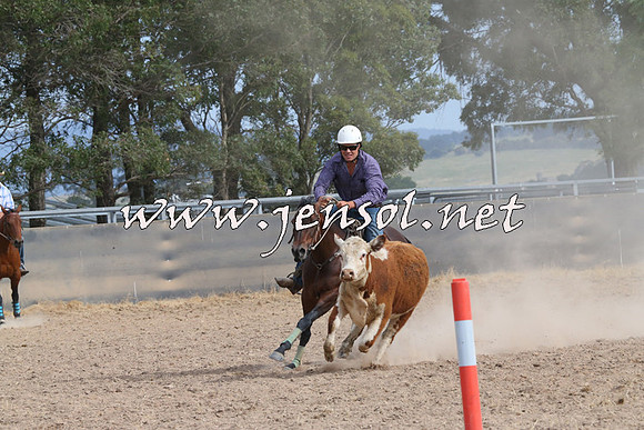 BraidwoodCampdraft2014_1613