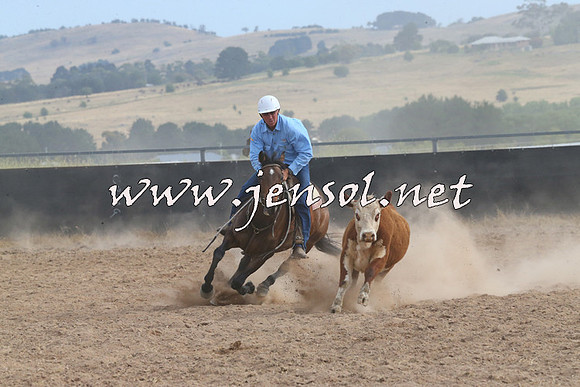 BraidwoodCampdraft2014_1587