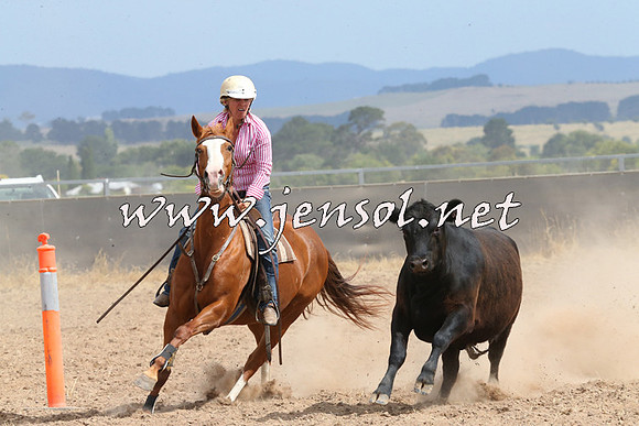 BraidwoodCampdraft2014_1503