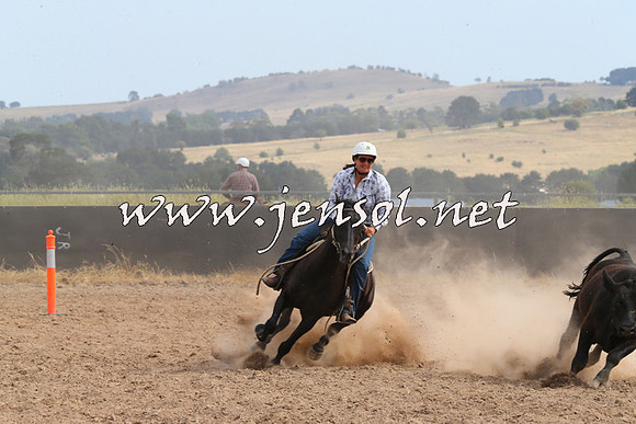 BraidwoodCampdraft2014_1536