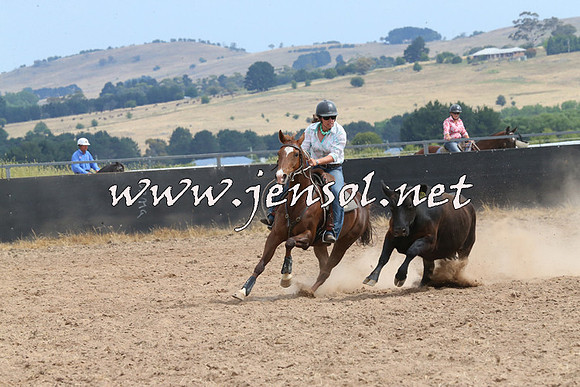 BraidwoodCampdraft2014_1496