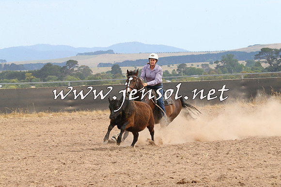 BraidwoodCampdraft2014_1563