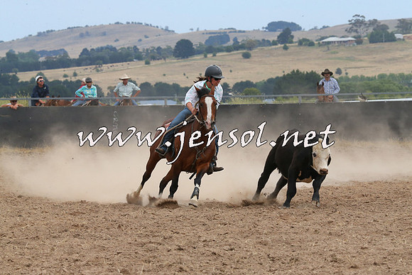 BraidwoodCampdraft2014_1380