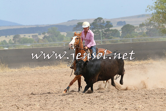 BraidwoodCampdraft2014_1509