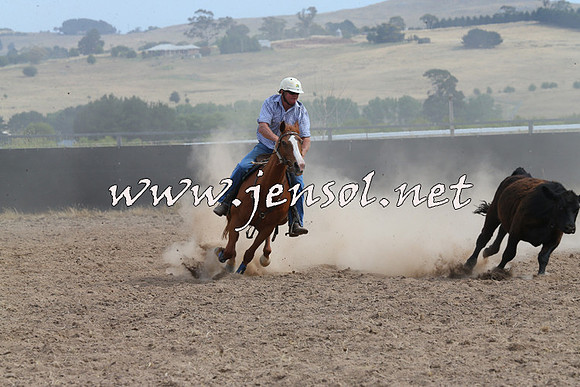 BraidwoodCampdraft2014_1525