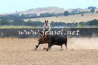 BraidwoodCampdraft2014_1358
