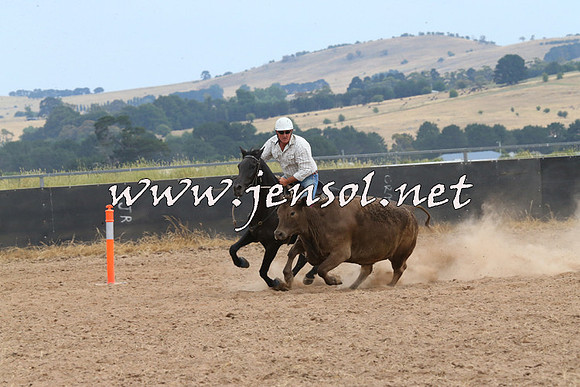 BraidwoodCampdraft2014_1474