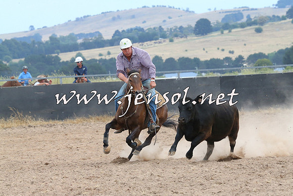 BraidwoodCampdraft2014_1425