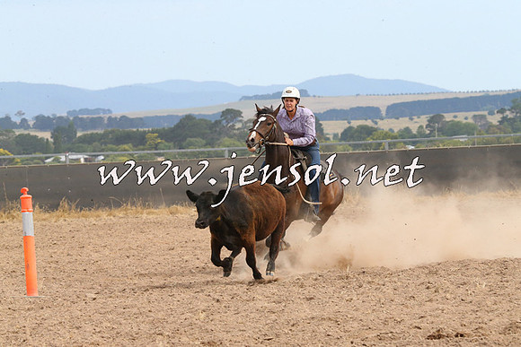 BraidwoodCampdraft2014_1561