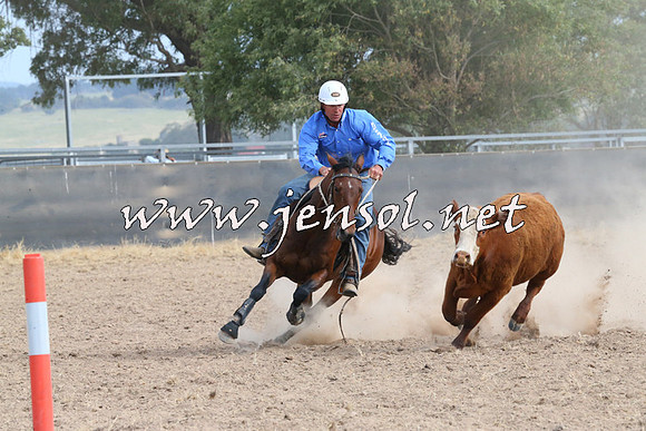 BraidwoodCampdraft2014_1595