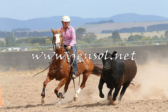 BraidwoodCampdraft2014_1507