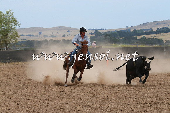 BraidwoodCampdraft2014_1441