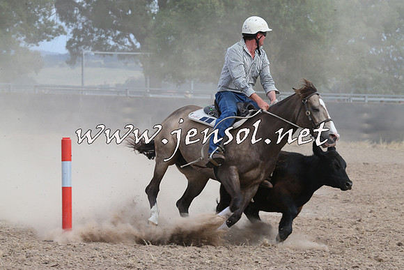 BraidwoodCampdraft2014_1550