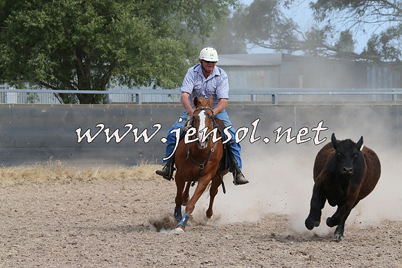 BraidwoodCampdraft2014_1533