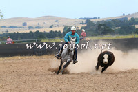 BraidwoodCampdraft2014_1341