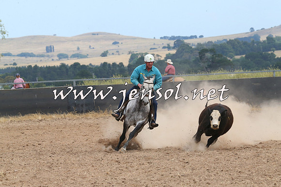 BraidwoodCampdraft2014_1341