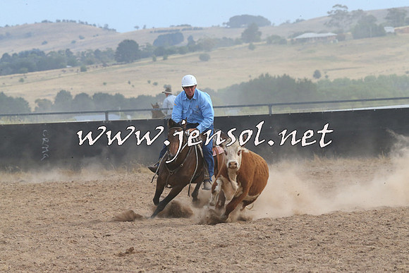 BraidwoodCampdraft2014_1586