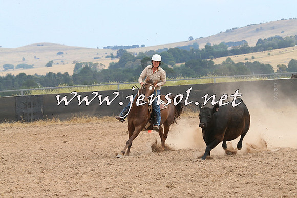 BraidwoodCampdraft2014_1485
