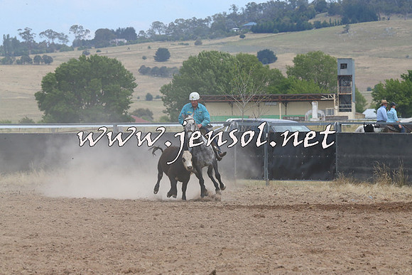 BraidwoodCampdraft2014_1348