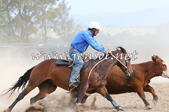 BraidwoodCampdraft2014_1603