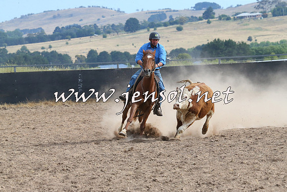 BraidwoodCampdraft2014_1623