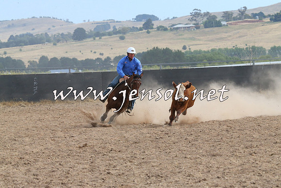 BraidwoodCampdraft2014_1589