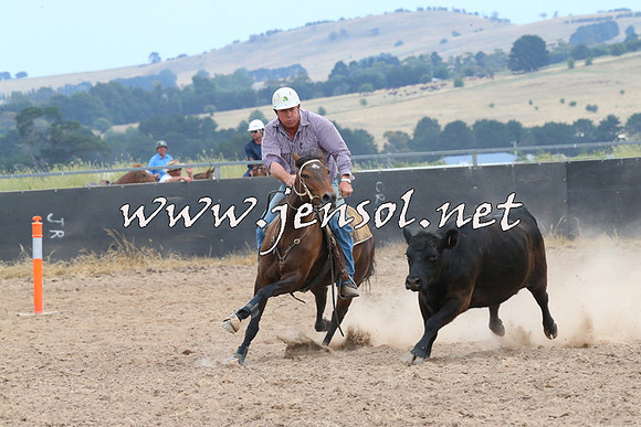 BraidwoodCampdraft2014_1424