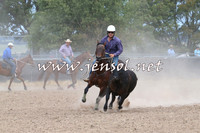 BraidwoodCampdraft2014_1327