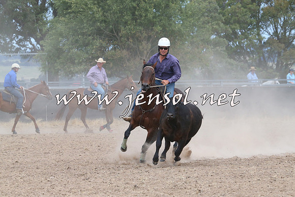 BraidwoodCampdraft2014_1327