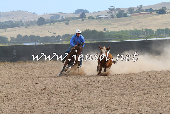 BraidwoodCampdraft2014_1591