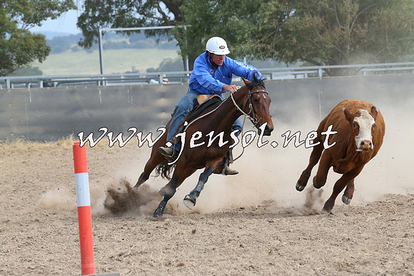 BraidwoodCampdraft2014_1602