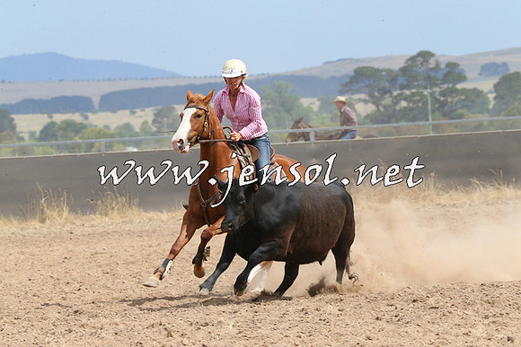 BraidwoodCampdraft2014_1510