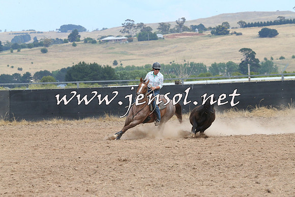 BraidwoodCampdraft2014_1372