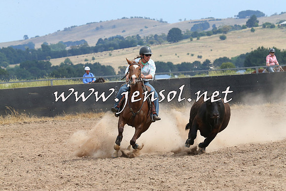 BraidwoodCampdraft2014_1501