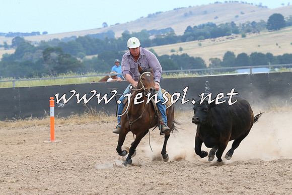 BraidwoodCampdraft2014_1421