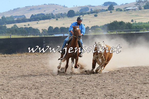BraidwoodCampdraft2014_1620