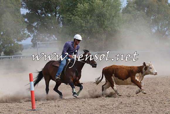 BraidwoodCampdraft2014_1616