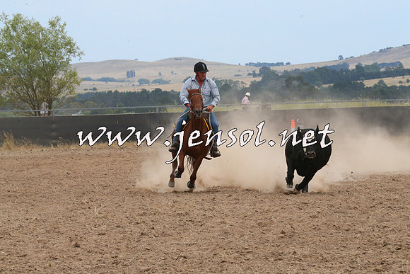 BraidwoodCampdraft2014_1446