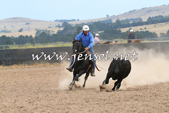 BraidwoodCampdraft2014_1400