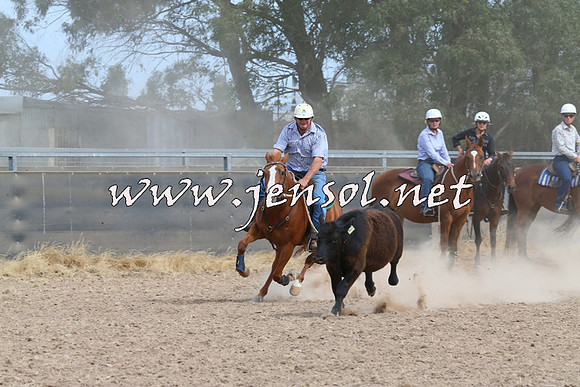 BraidwoodCampdraft2014_1531