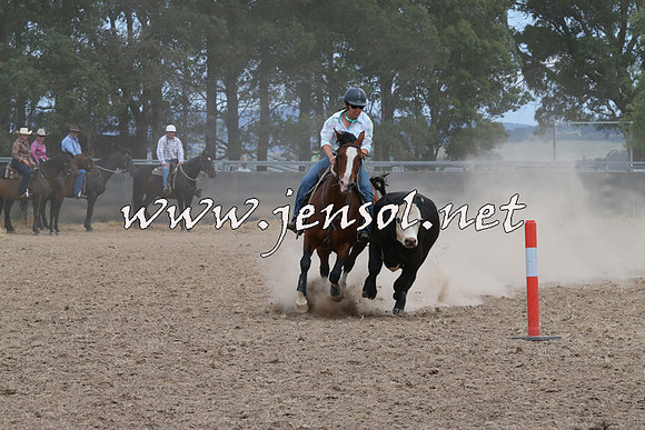 BraidwoodCampdraft2014_1389