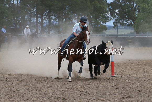 BraidwoodCampdraft2014_1385