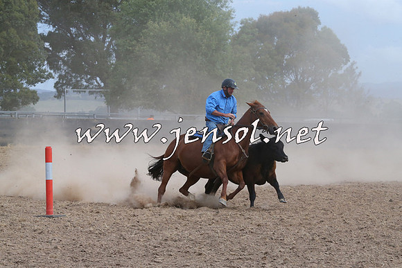 BraidwoodCampdraft2014_1554