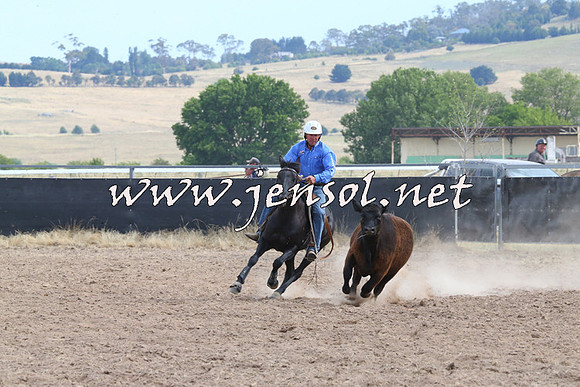 BraidwoodCampdraft2014_1515
